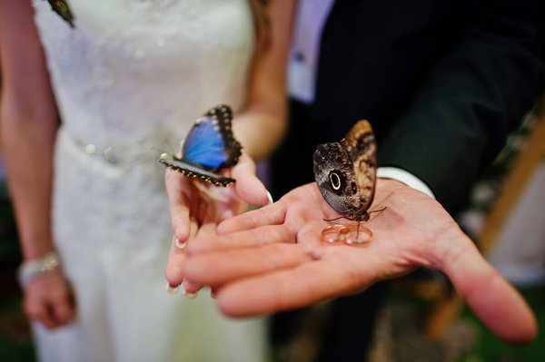 De la proposition au quotidien : Comment les bagues pour couple scellent des histoires d'amour